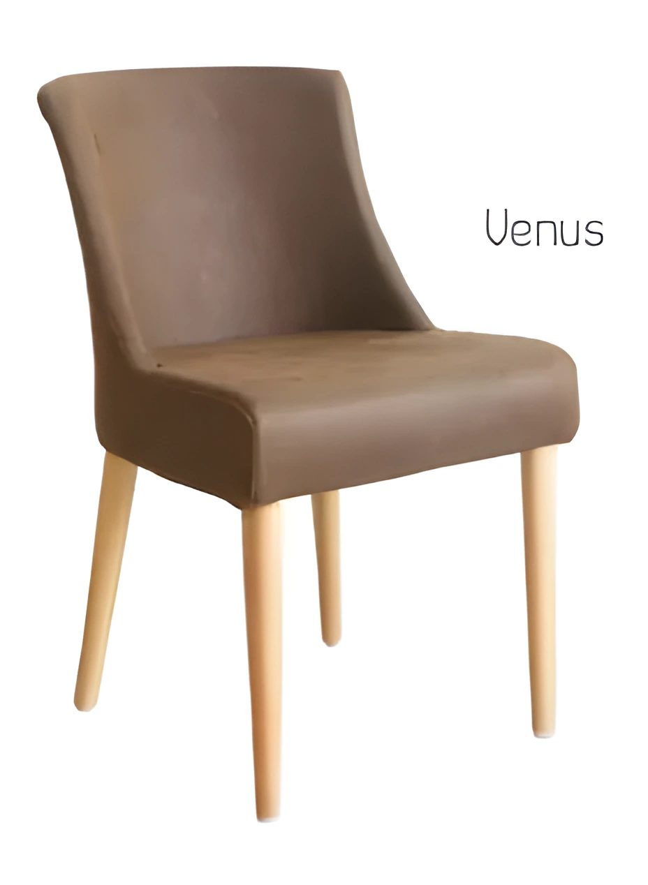 Upholstered Breakout/cafe Chair ("venus")